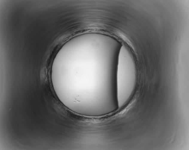 X0000088870970200706080717