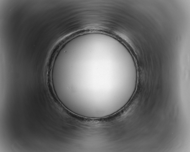 X0000088870971200706080717