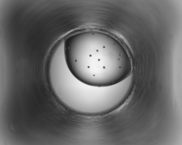X0000088870973200706080717