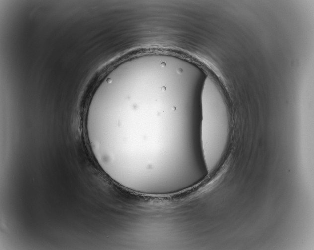 X0000088870974200706080717