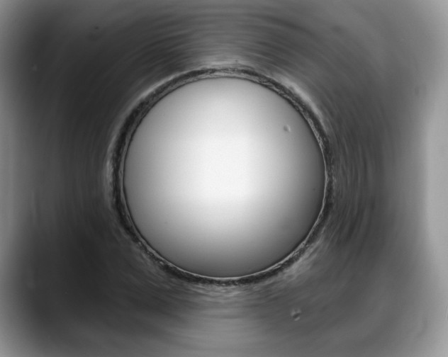 X0000088870975200706080717