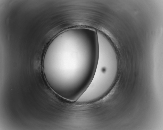 X0000088870977200706080717