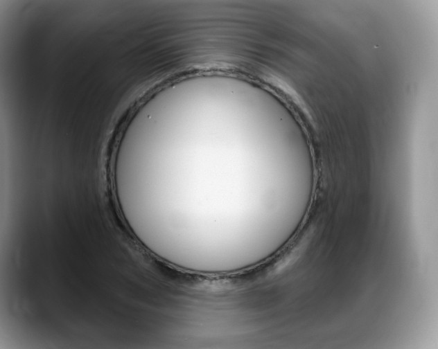 X0000088870978200706080717