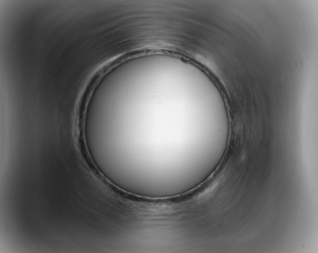 X0000088870979200706080717