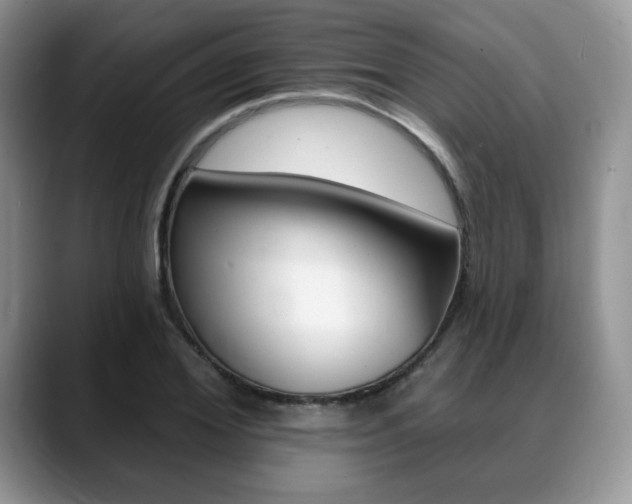 X0000088870980200706080717