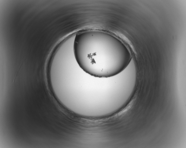 X0000088870981200706080717