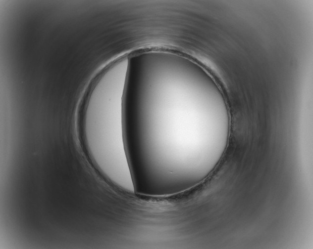 X0000088870983200706080717