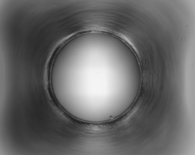 X0000088870987200706080717