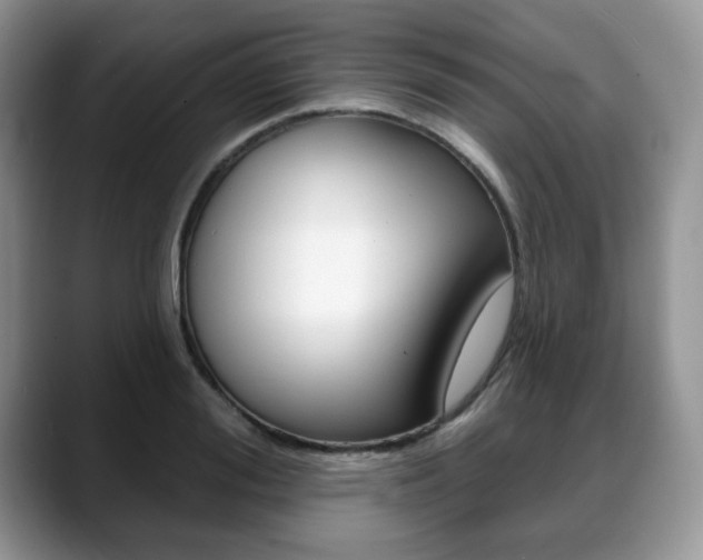 X0000088870988200706080717