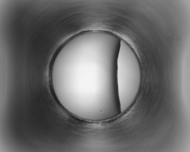 X0000088870990200706080717