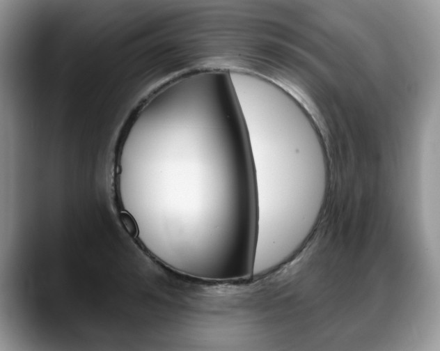 X0000088870992200706080717