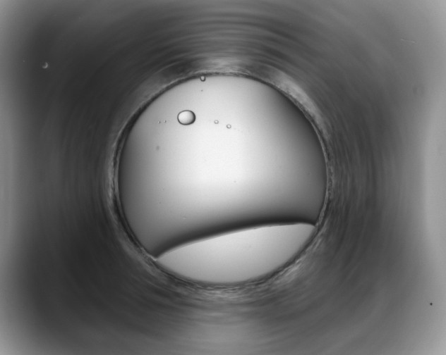 X0000088870994200706080717