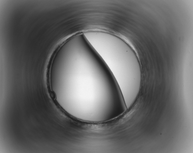 X0000088870995200706080717