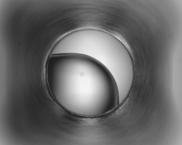 X0000088870996200706080717