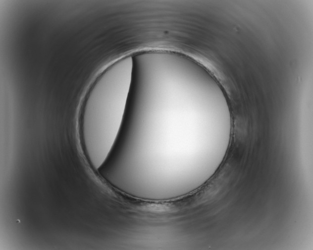 X0000088870998200706080717