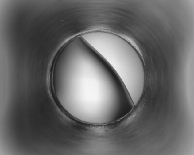 X0000088870999200706080717
