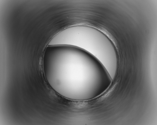 X0000088871001200706080717