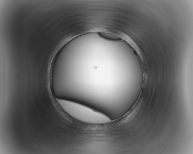 X0000088871002200706080717