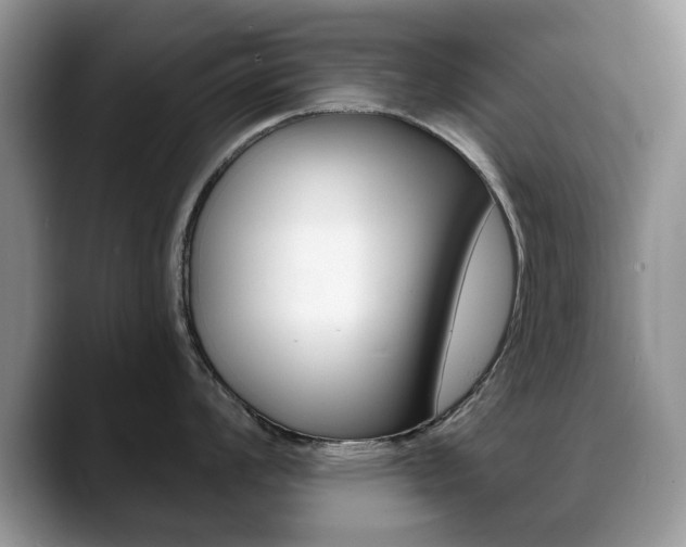X0000088871008200706080717