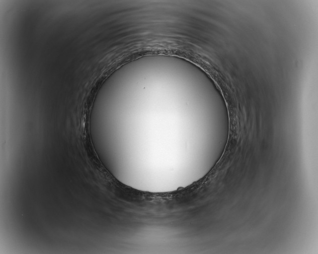 X0000088871013200706080716