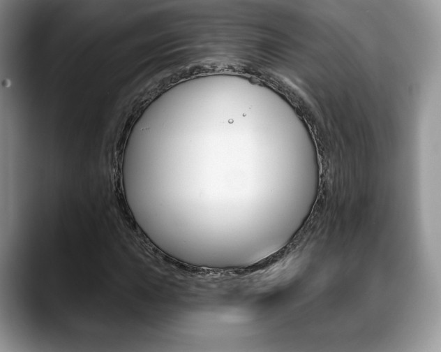 X0000088871015200706080716