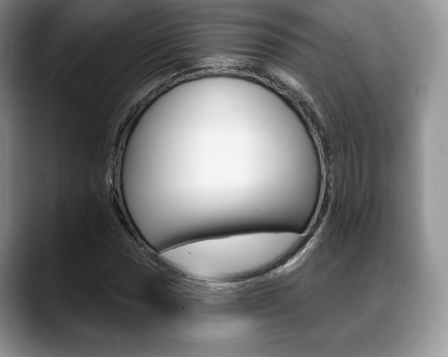 X0000088871017200706080716