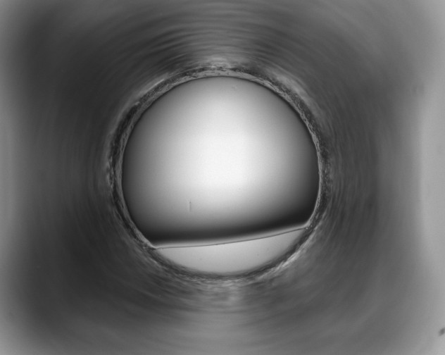 X0000088871018200706080716