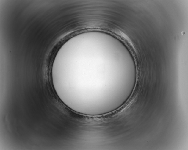 X0000088871019200706080716