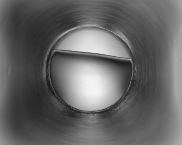X0000088871020200706080717