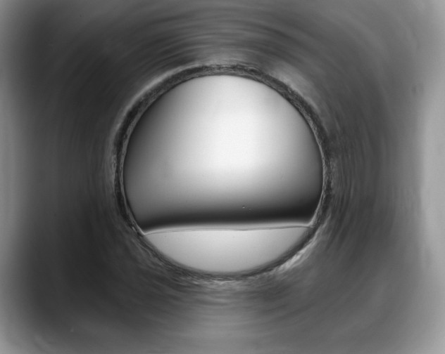 X0000088871021200706080717