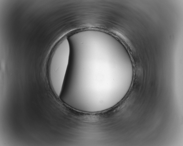 X0000088871023200706080717