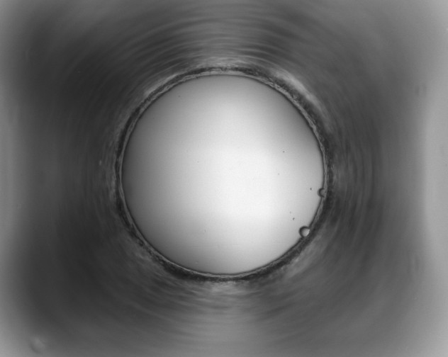 X0000088871025200706080717