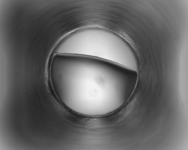 X0000088871028200706080717