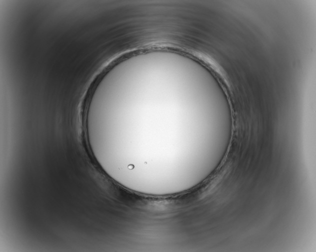 X0000088871031200706080717