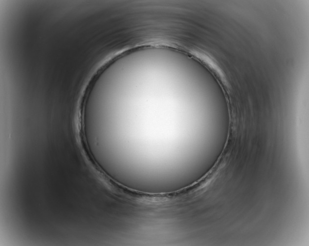 X0000088871040200706080717