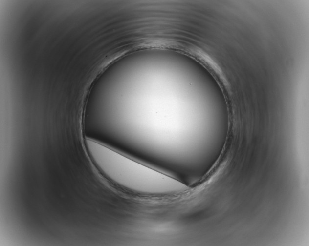 X0000088871041200706080717