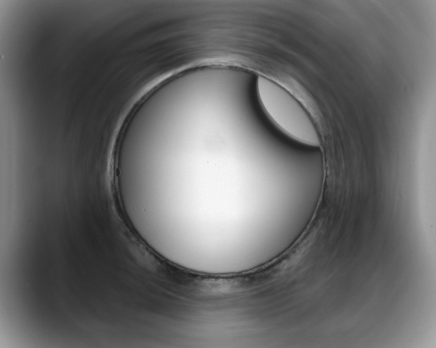 X0000088871044200706080717