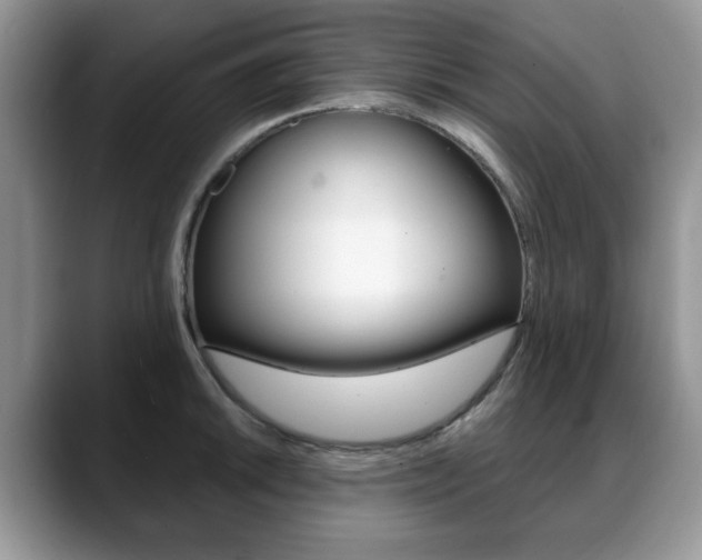 X0000088871046200706080717