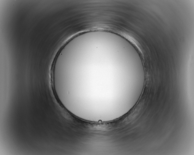 X0000088871047200706080717