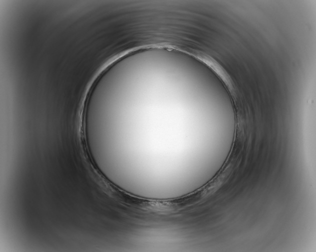 X0000088871052200706080717
