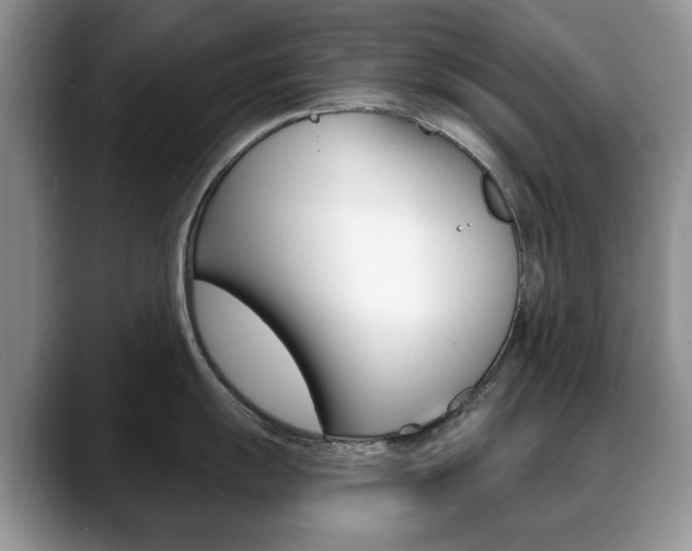 X0000088871055200706080717