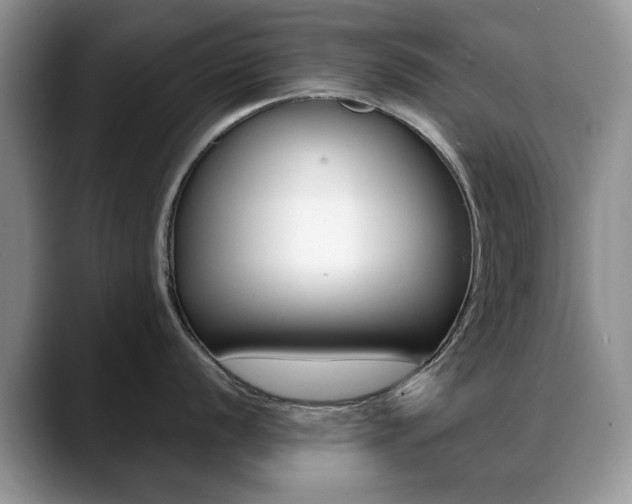 X0000088871056200706080717
