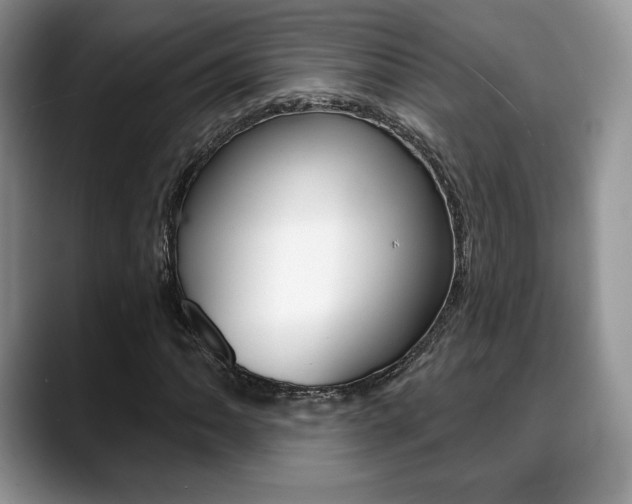 X0000088871062200706080716