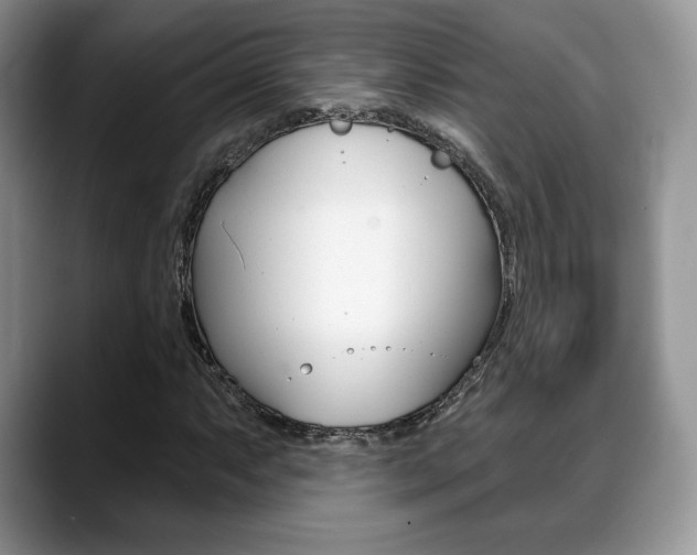 X0000088871063200706080716