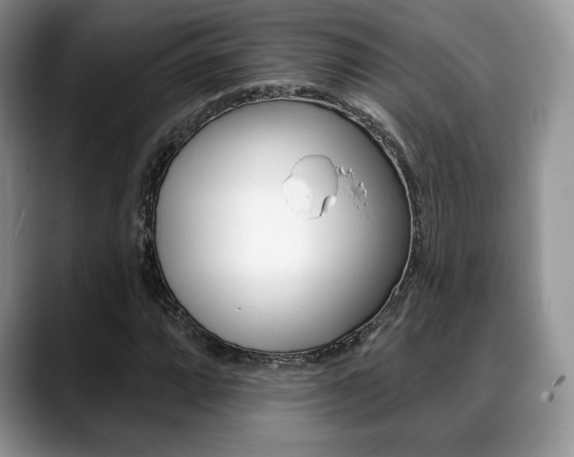 X0000088871064200706080716