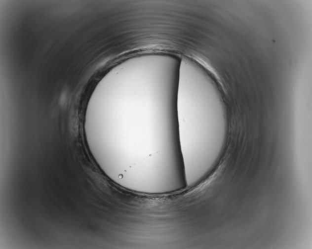 X0000088871067200706080716