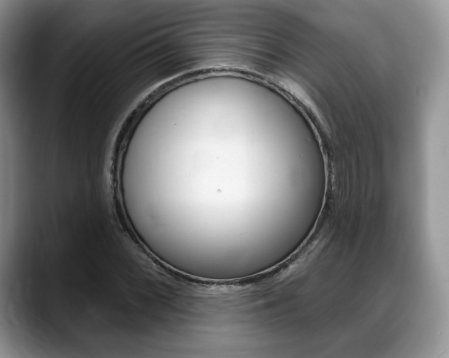 X0000088871068200706080716