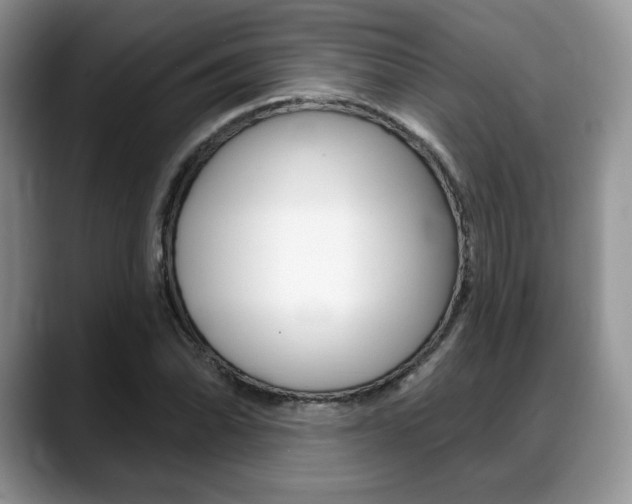 X0000088871070200706080716
