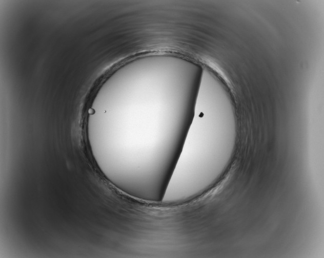X0000088871071200706080716