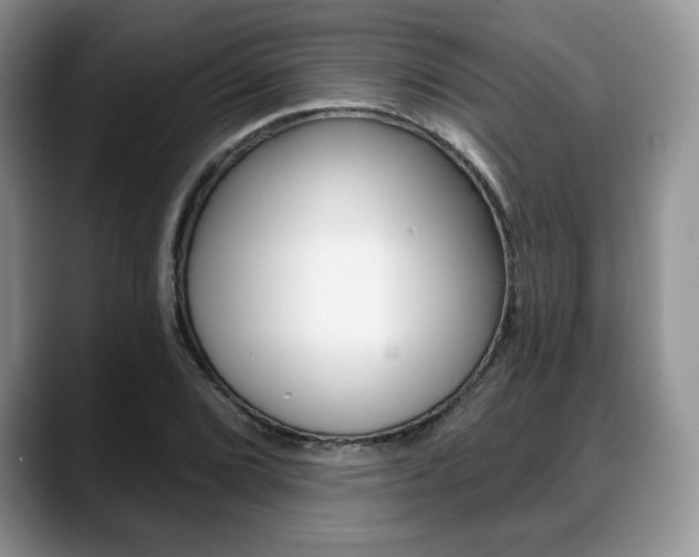 X0000088871072200706080716